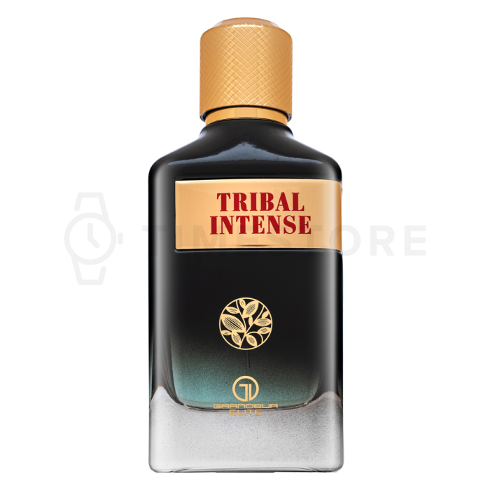 Grandeur Tribal Intense parfémovaná voda pro muže 100 ml