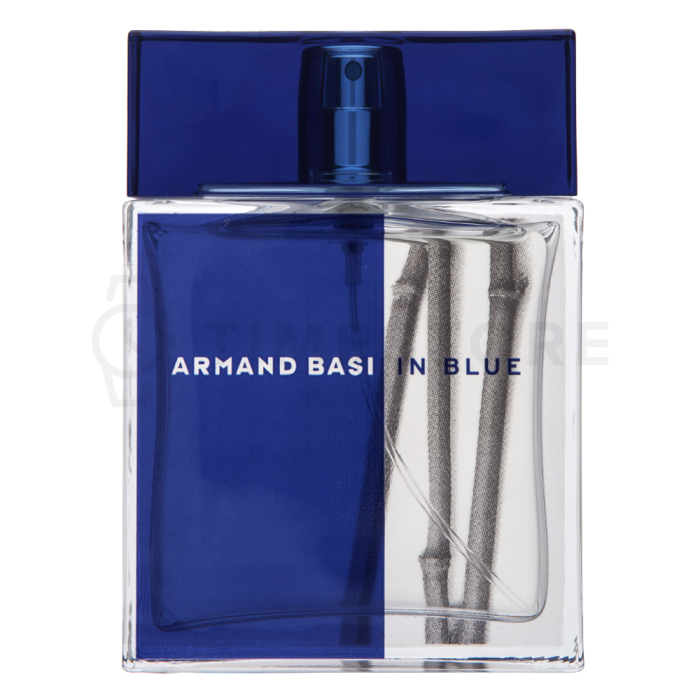 Armand Basi In Blue toaletná voda pre mužov 100 ml
