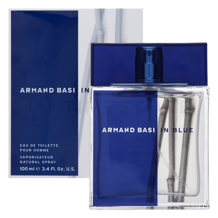 Armand Basi In Blue toaletná voda pre mužov 100 ml