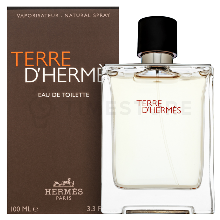 Hermès Terre D'Hermes toaletná voda pre mužov 100 ml