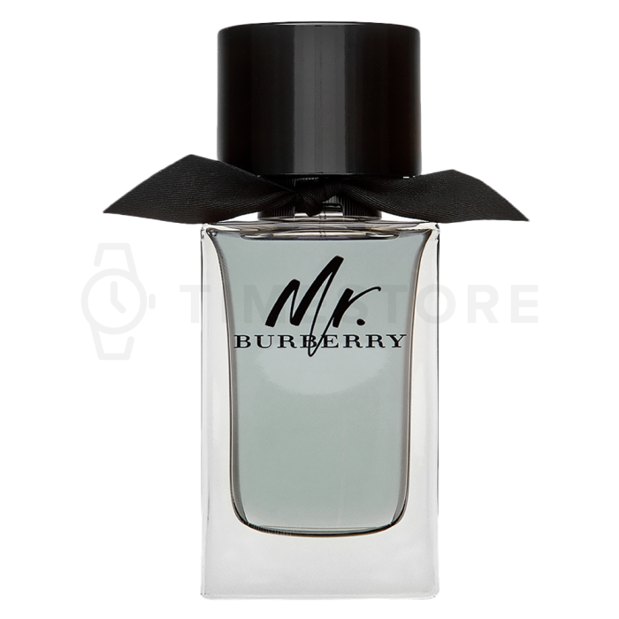 Burberry Mr. Burberry toaletná voda pre mužov 100 ml