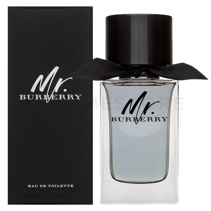 Burberry Mr. Burberry toaletná voda pre mužov 100 ml