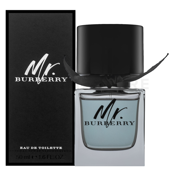 Burberry Mr. Burberry toaletná voda pre mužov 50 ml