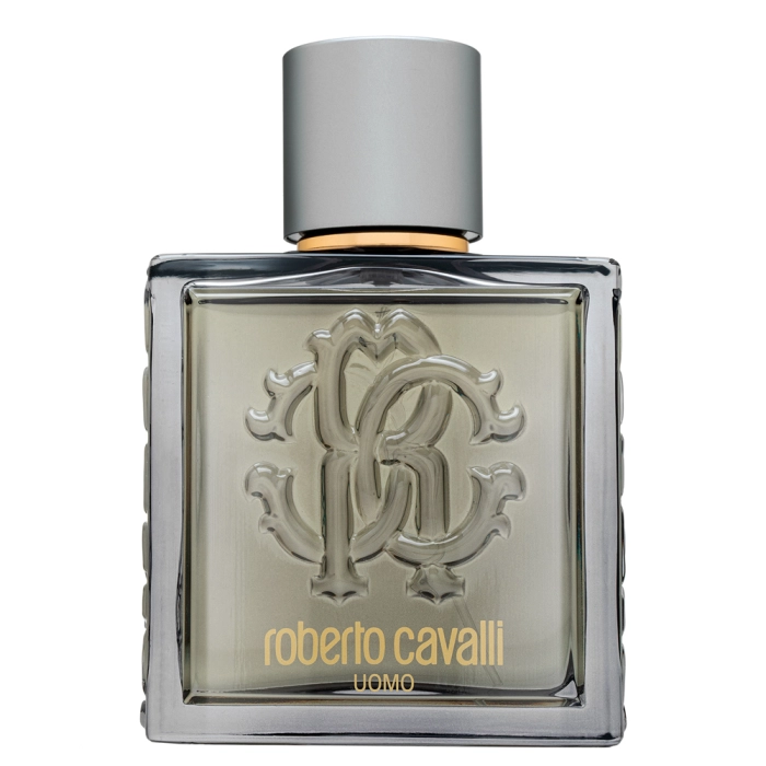 Roberto Cavalli Uomo Silver Essence toaletná voda pre mužov 100 ml