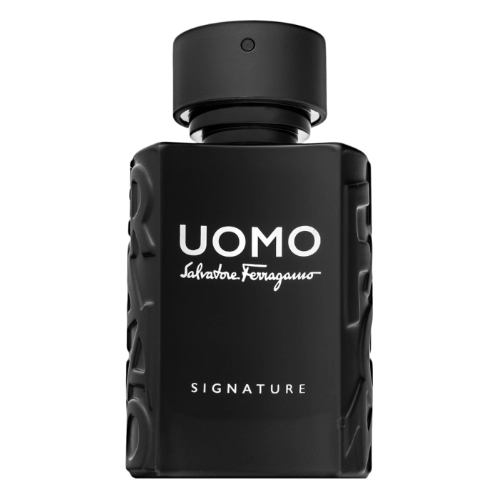 Salvatore Ferragamo Uomo Signature parfémovaná voda pre mužov 50 ml