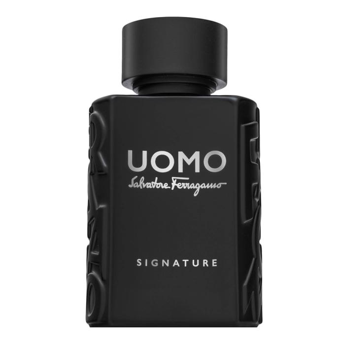 Salvatore Ferragamo Uomo Signature parfémovaná voda pre mužov 30 ml