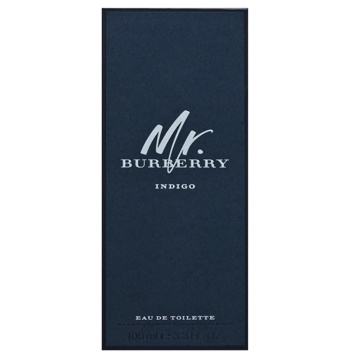 Burberry Mr. Burberry Indigo toaletná voda pre mužov 100 ml