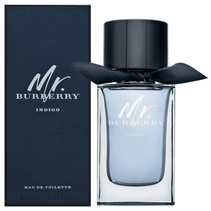 Burberry Mr. Burberry Indigo toaletná voda pre mužov 100 ml