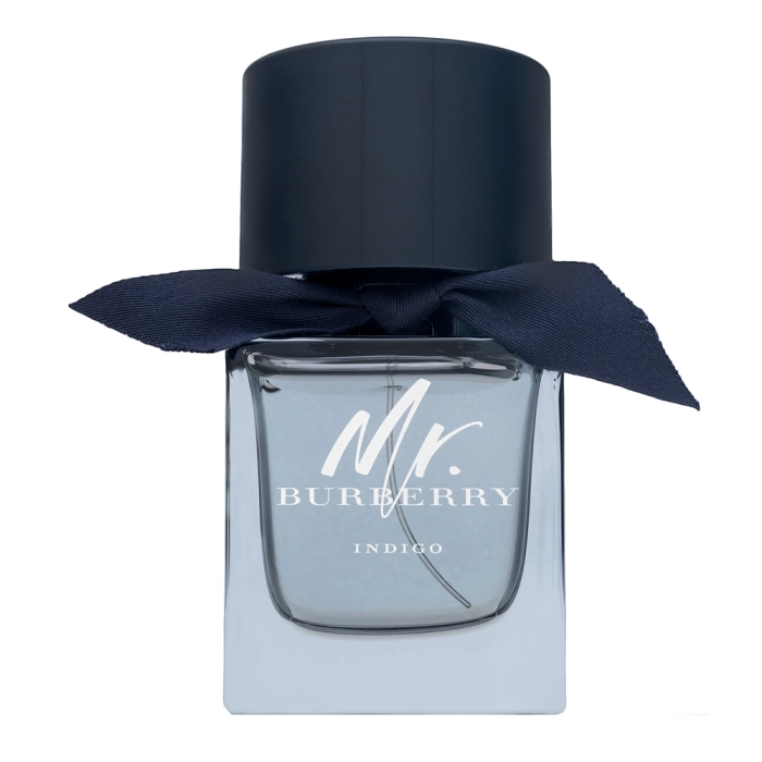Burberry Mr. Burberry Indigo toaletná voda pre mužov 50 ml
