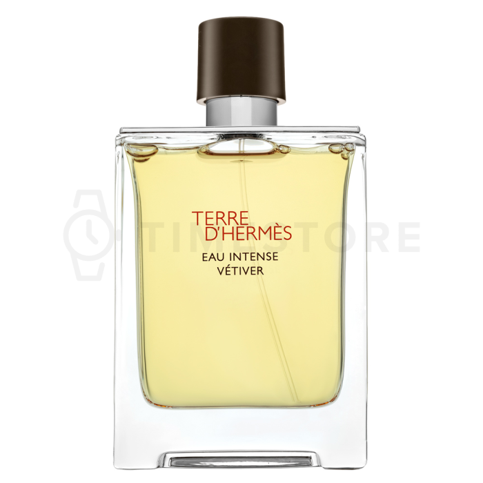 Hermès Terre D'Hermes Eau Intense Vetiver parfémovaná voda pre mužov 100 ml