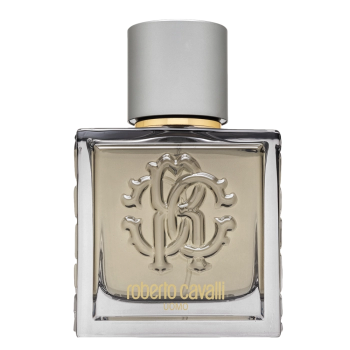 Roberto Cavalli Uomo Silver Essence toaletná voda pre mužov 60 ml