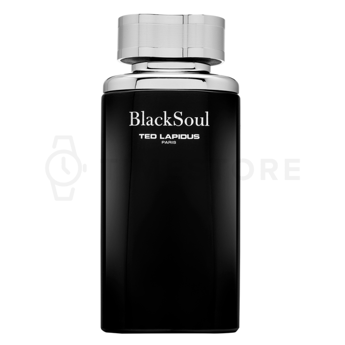 Ted Lapidus Black Soul toaletná voda pre mužov 100 ml
