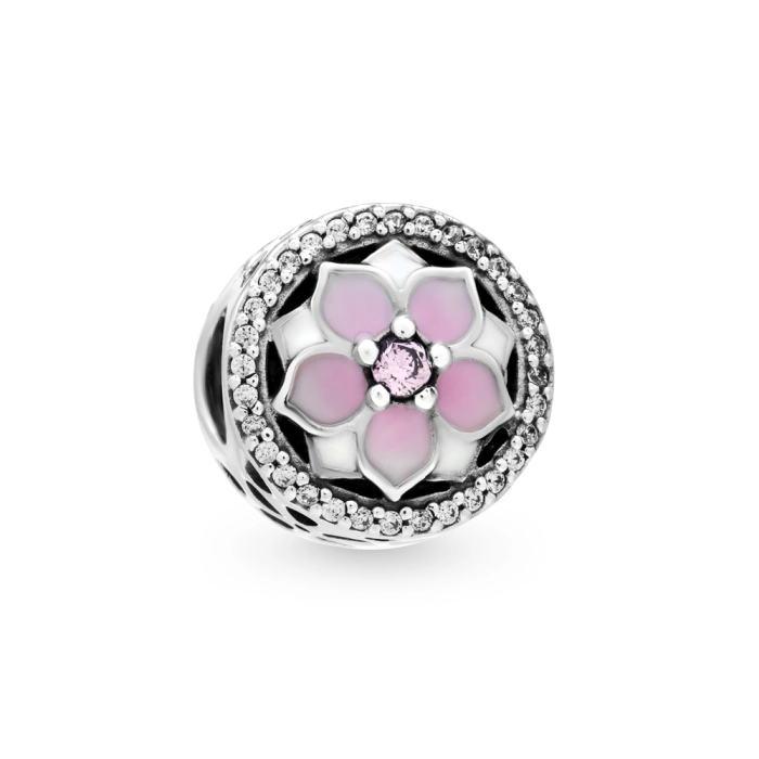 Korálik Pandora Moments