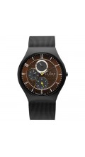 Skagen Titanium